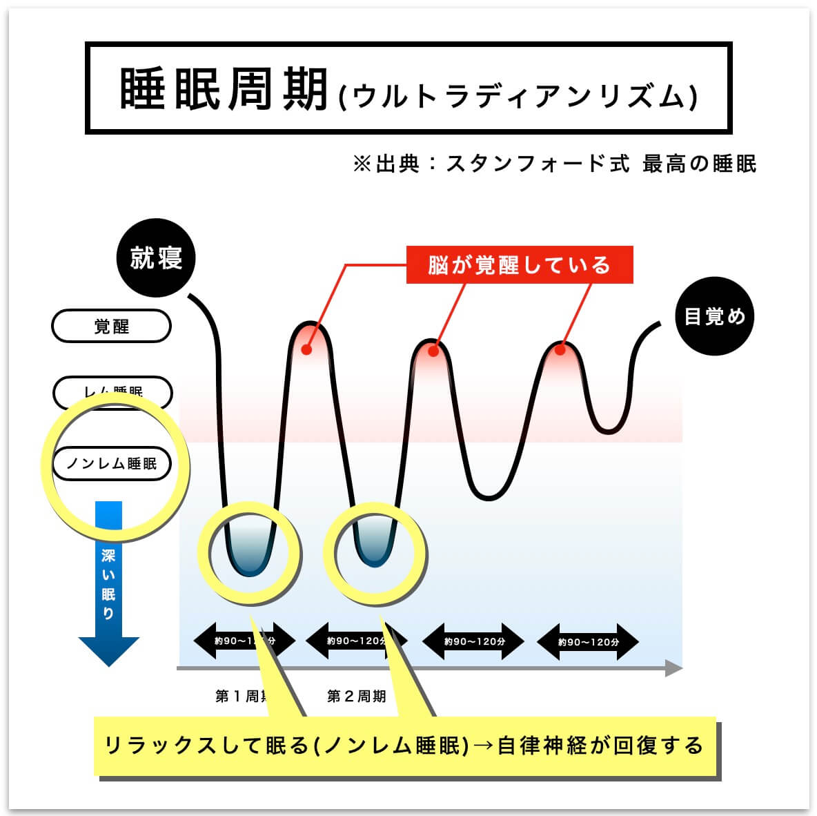 睡眠周期について
