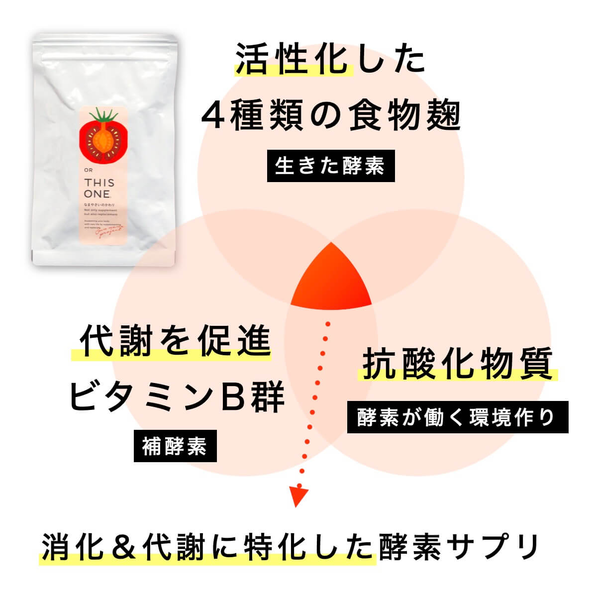 消化＆代謝に特化した酵素サプリ