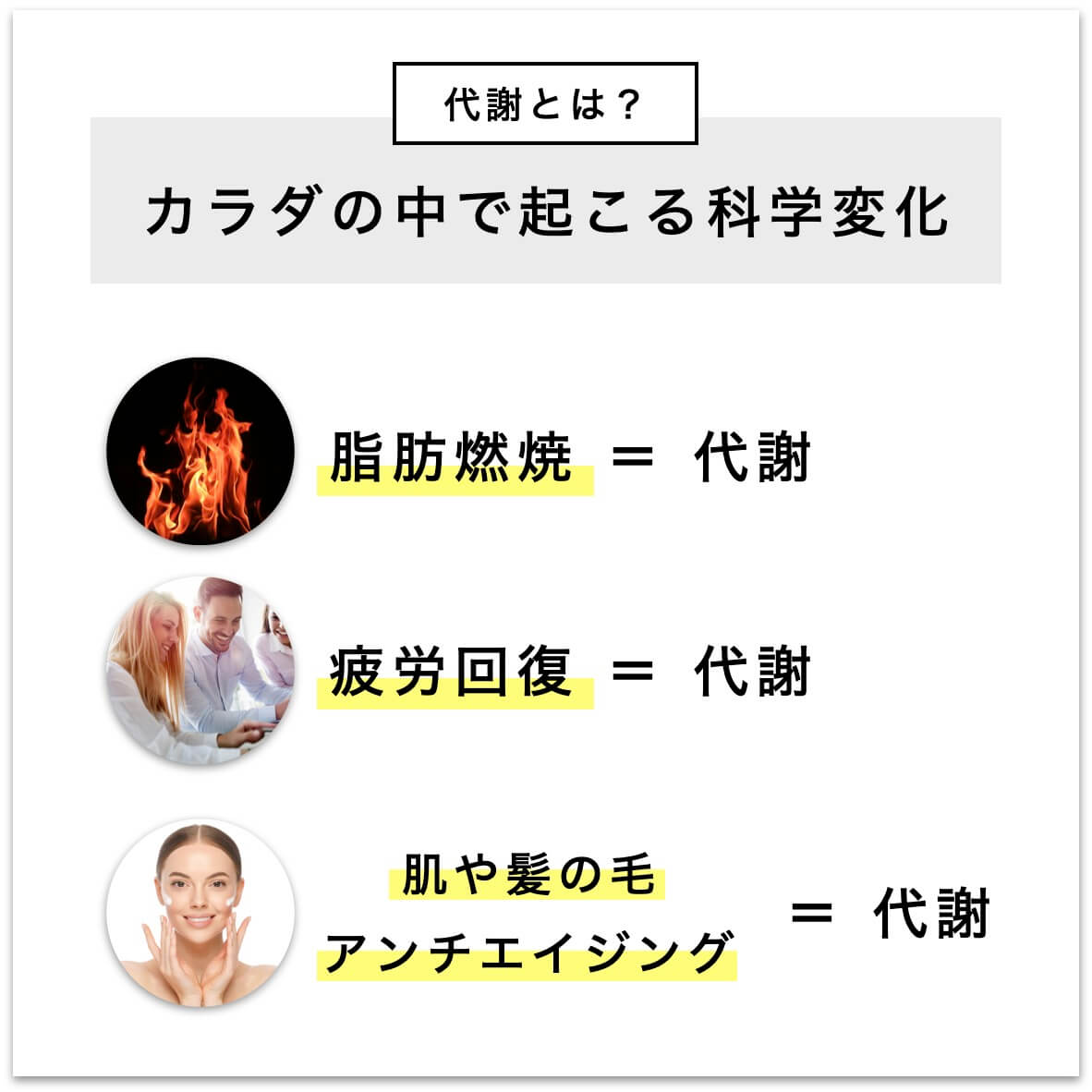 代謝についての解説