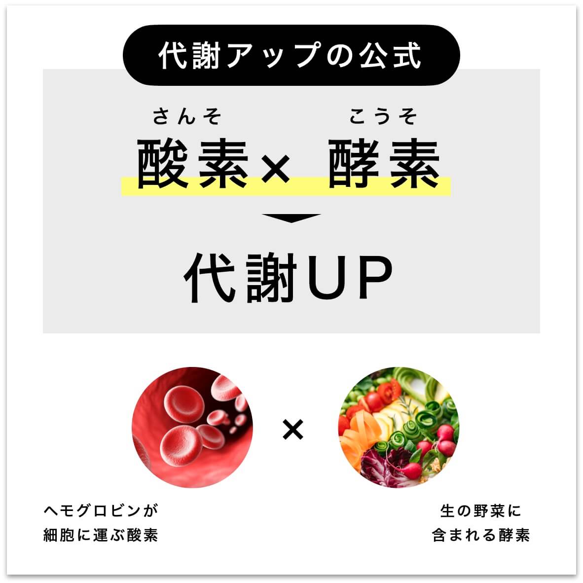 代謝アップの公式は酸素×酵素