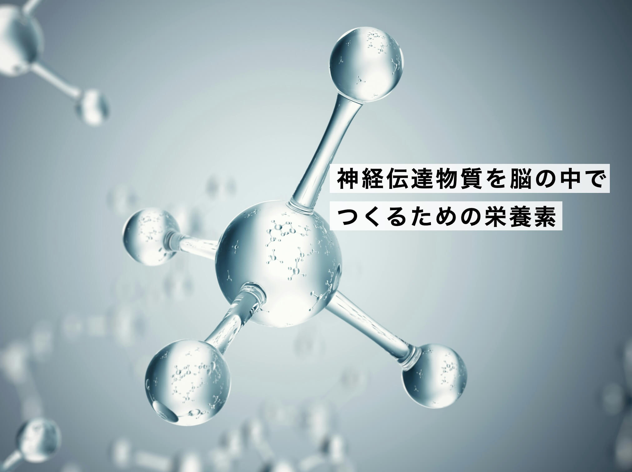 神経伝達物質を脳の中でしっかり作れることが重要