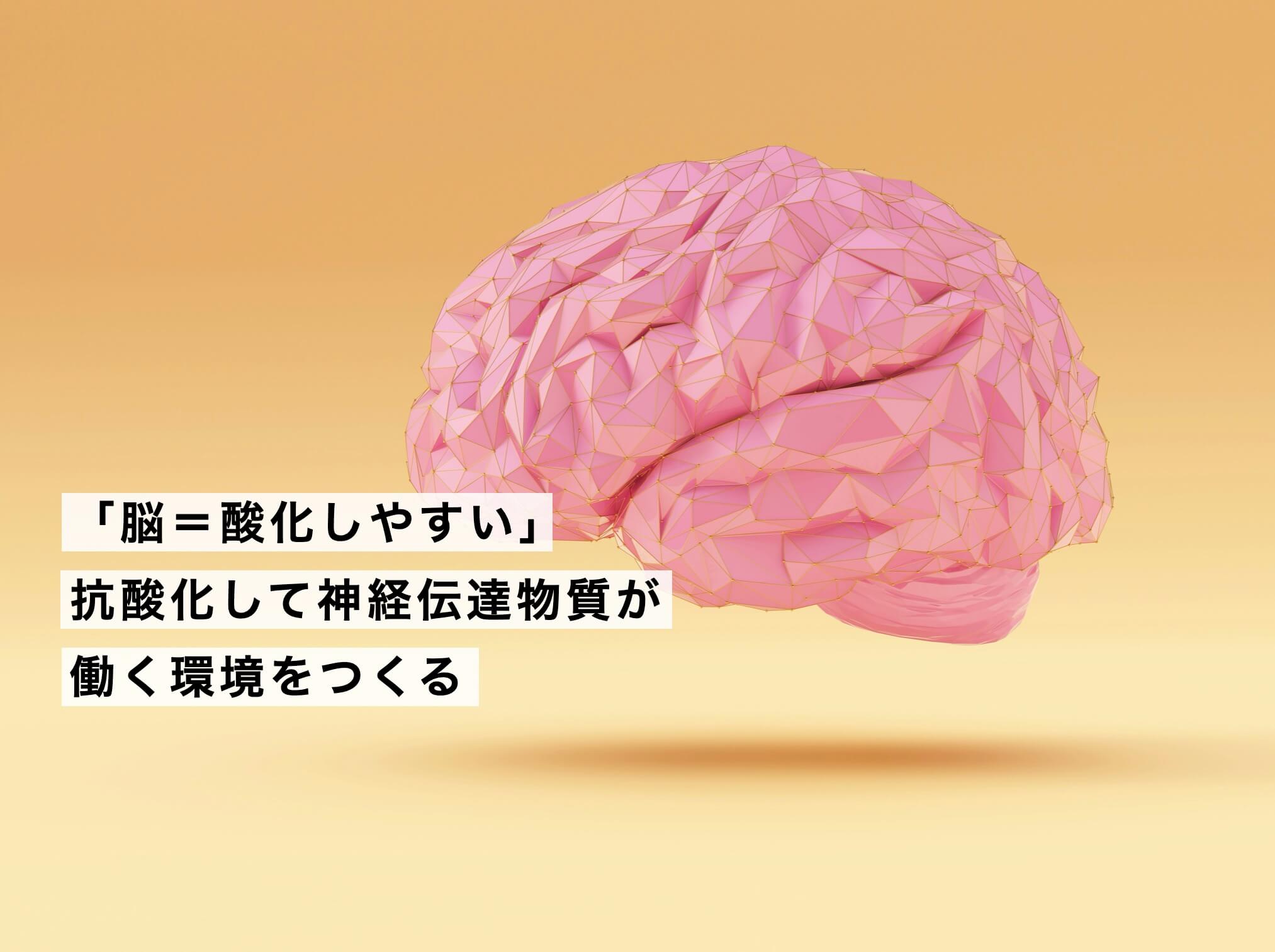 脳を抗酸化して神経伝達物質が働く環境をつくる