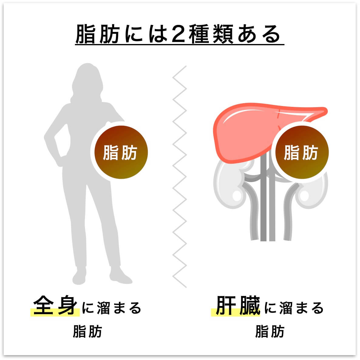 アスタキサンチンの説明