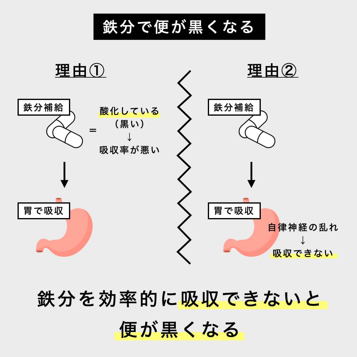 鉄分で便がくろくなる説明している図
