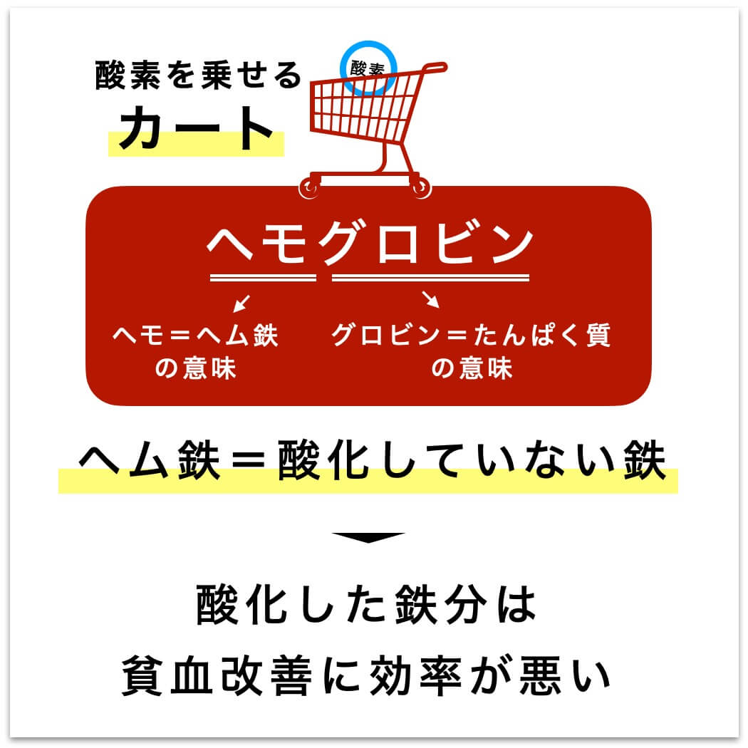 ヘモグロビンの材料はヘム鉄＋タンパク質