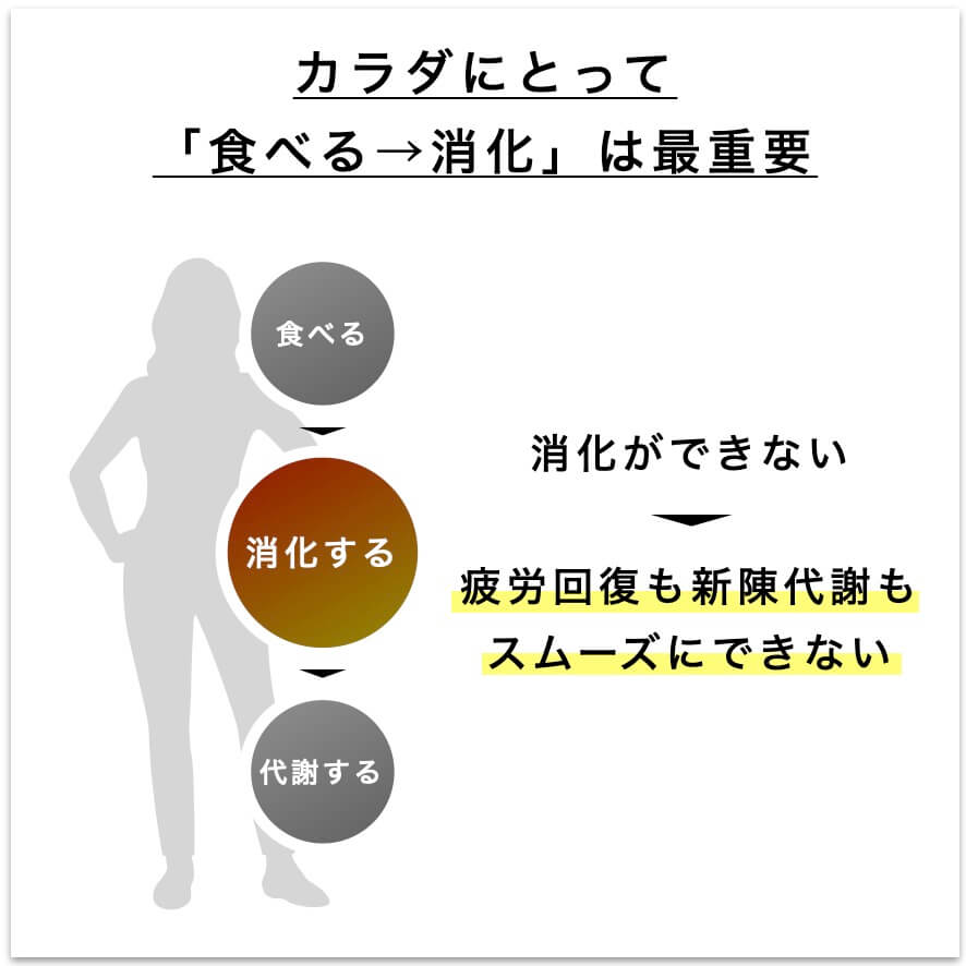 カラダにとって「食べる→消化」は最重要の図