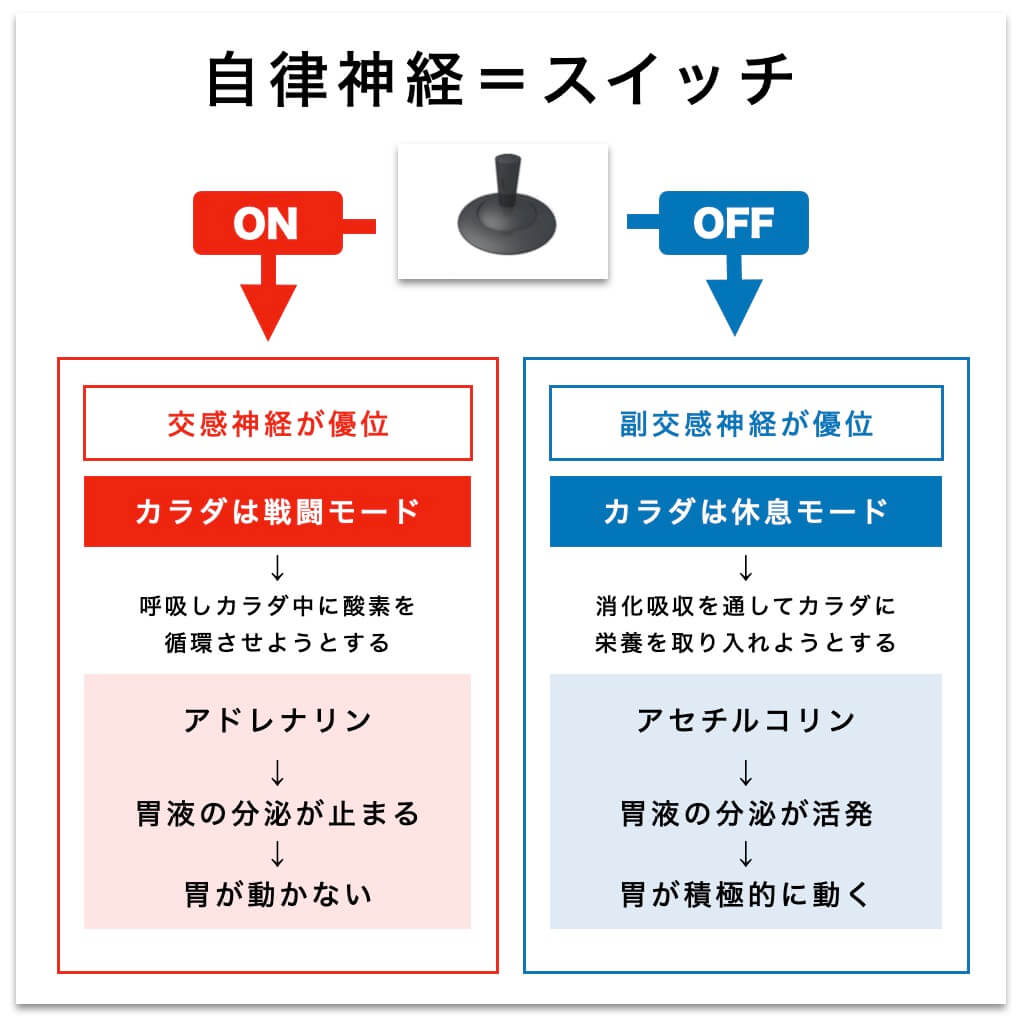 自律神経の副交感神経優位(リラックスモード)