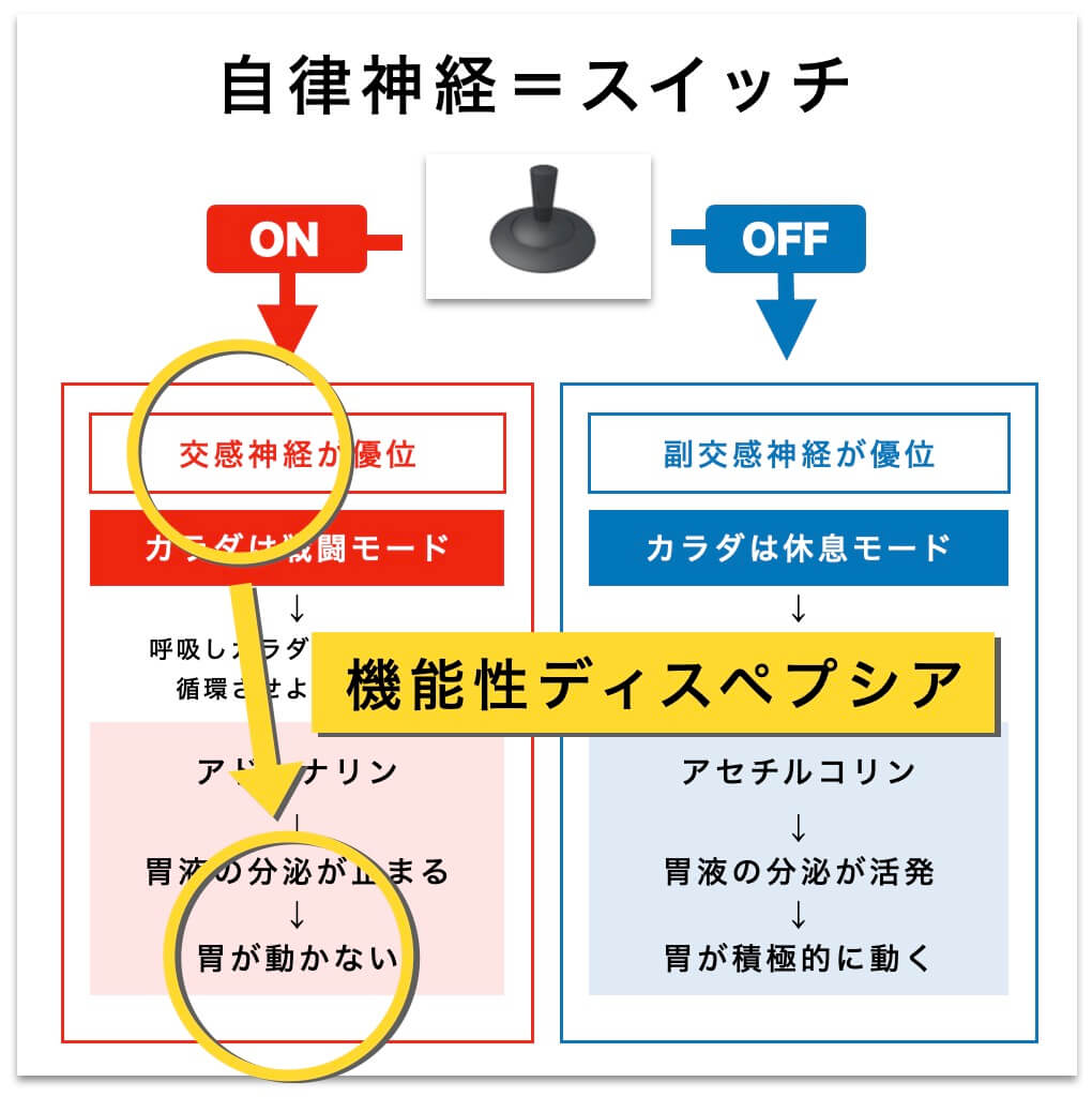 「食べているのに、カラダは休めていない」状態で機能性ディスペプシア(FD)は起こりやすい