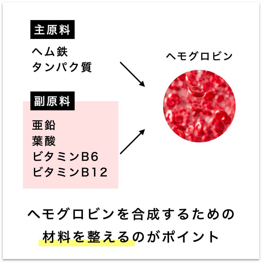 ヘモグロビンを合成するための
材料を整えること
