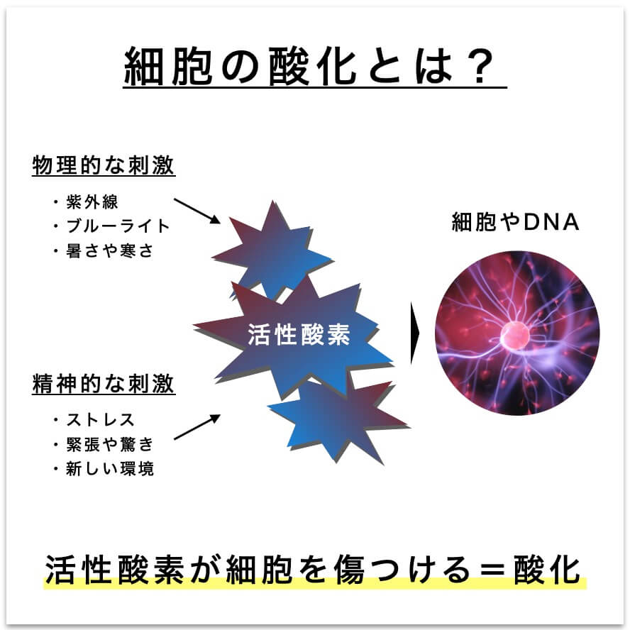 細胞の酸化について