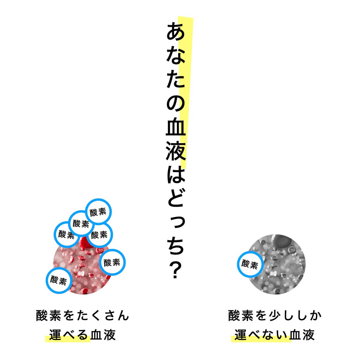 あなたの血液どっち？