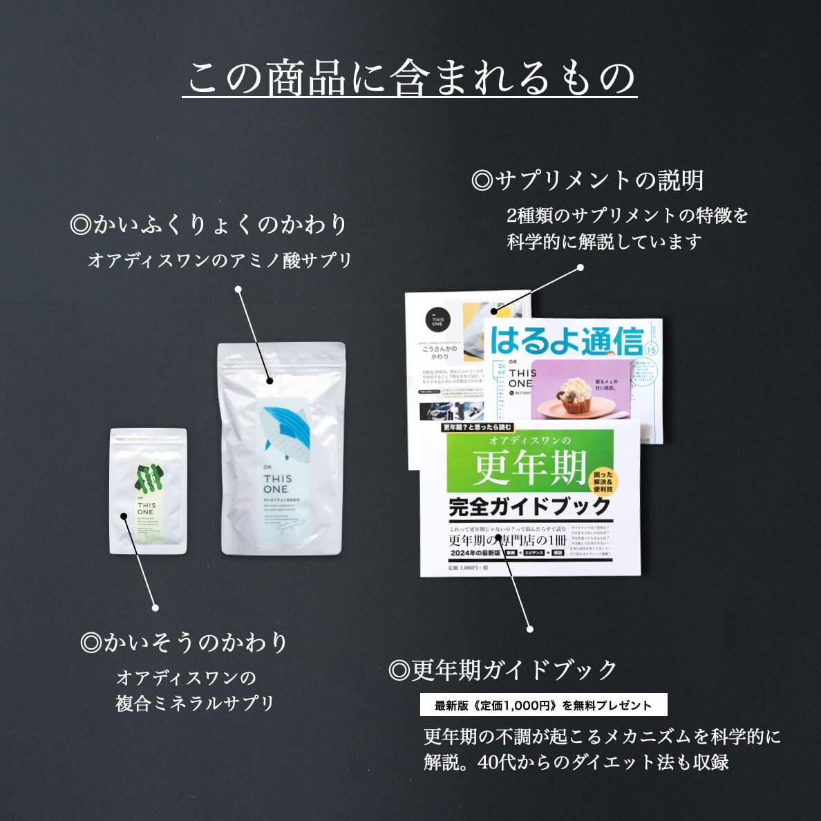 オアディスワンの商品を購入したら届くもの一覧