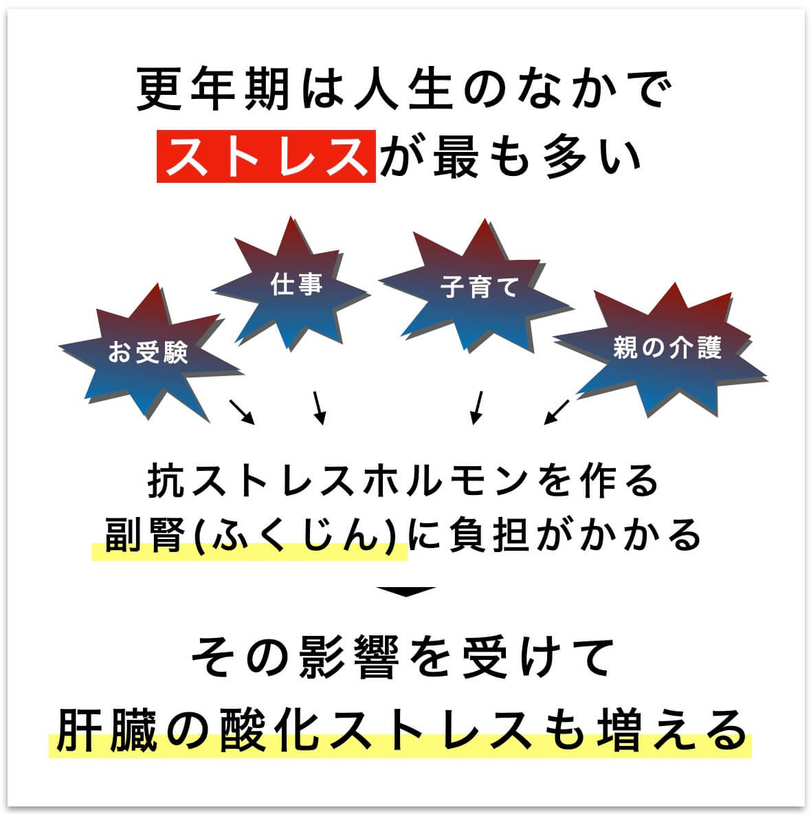 肝臓の酸化ストレスが増える更年期