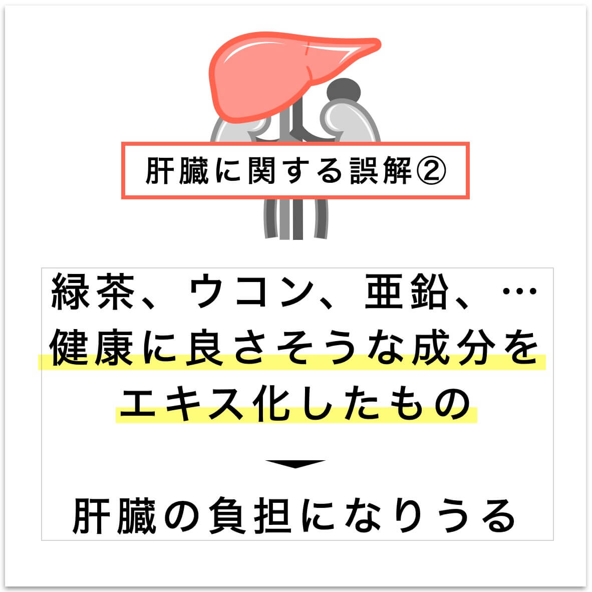 肝臓に関する誤解②