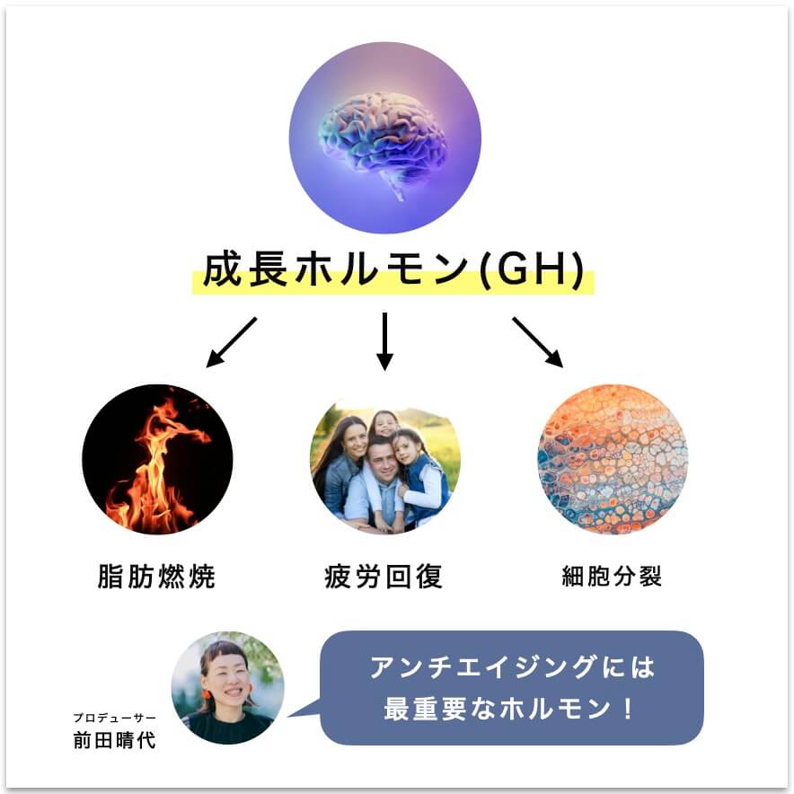 成長ホルモンの重要性