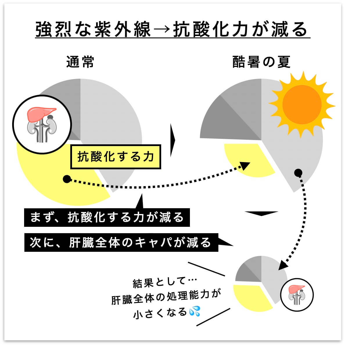 強烈な紫外線で抗酸化力が減る