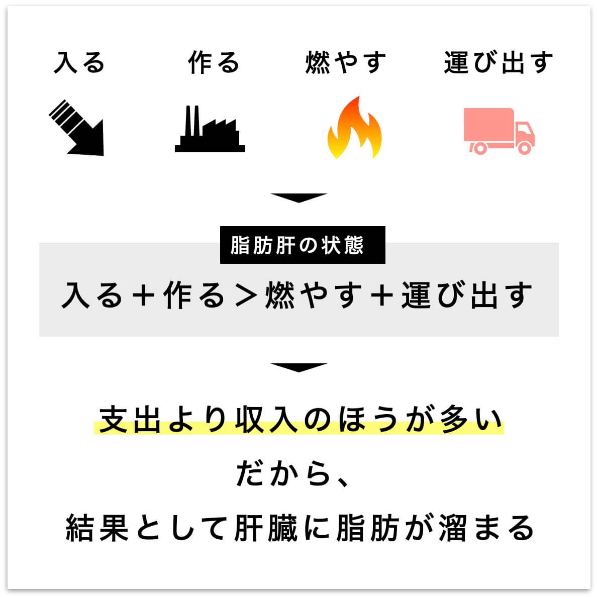 脂肪肝のメカニズム