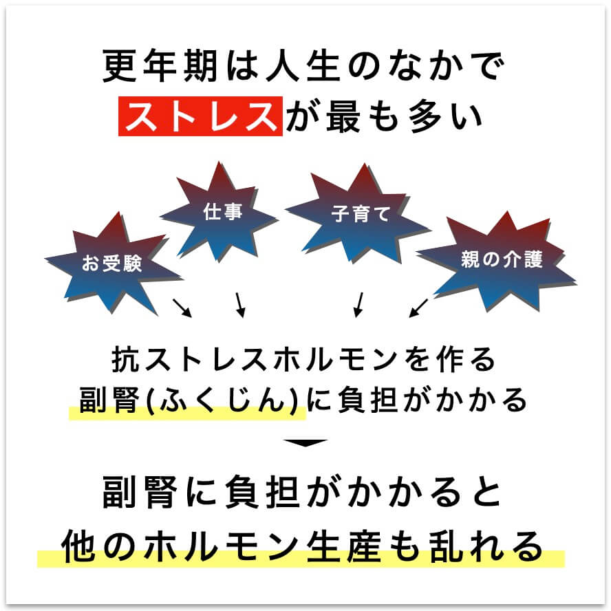副腎に負担がかかると他のホルモン生産も乱れる