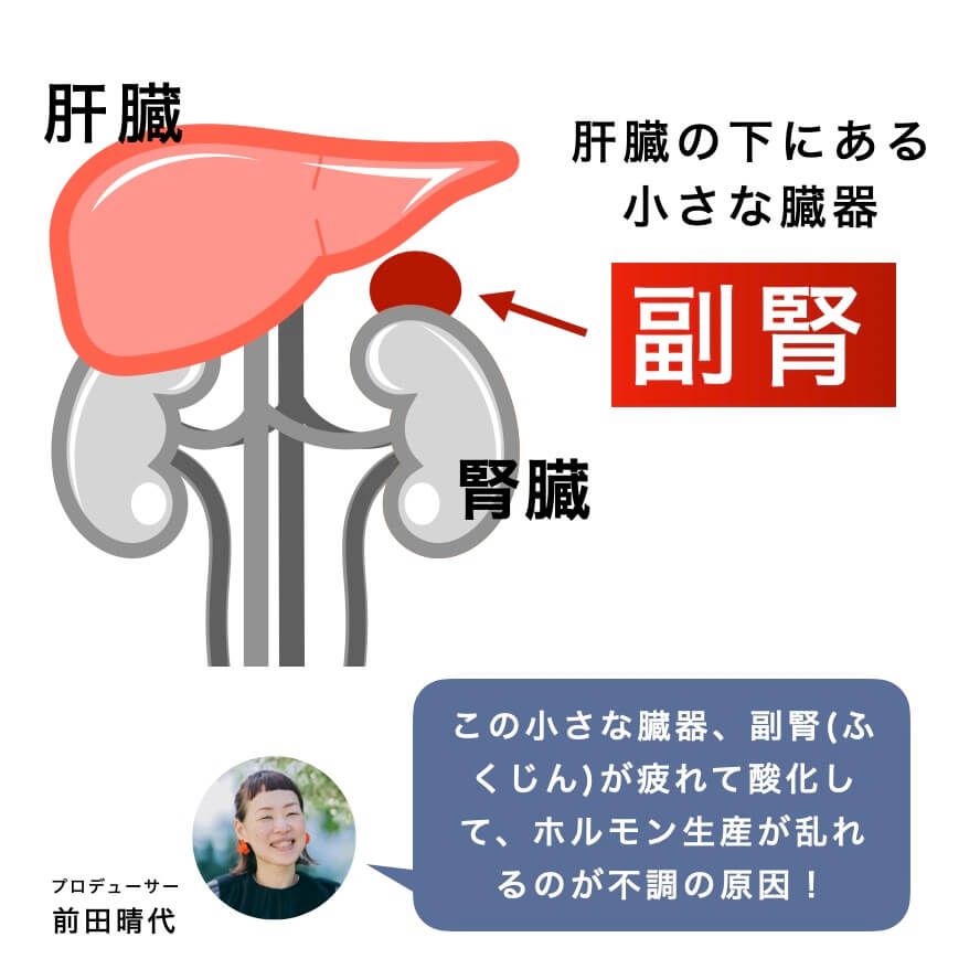 副腎が疲れて酸化することが不調の原因