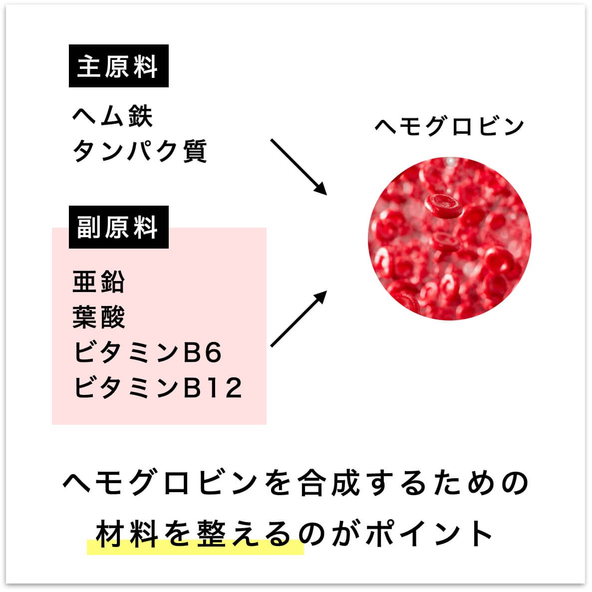 ヘモグロビンを合成するための材料を整えるのがポイント