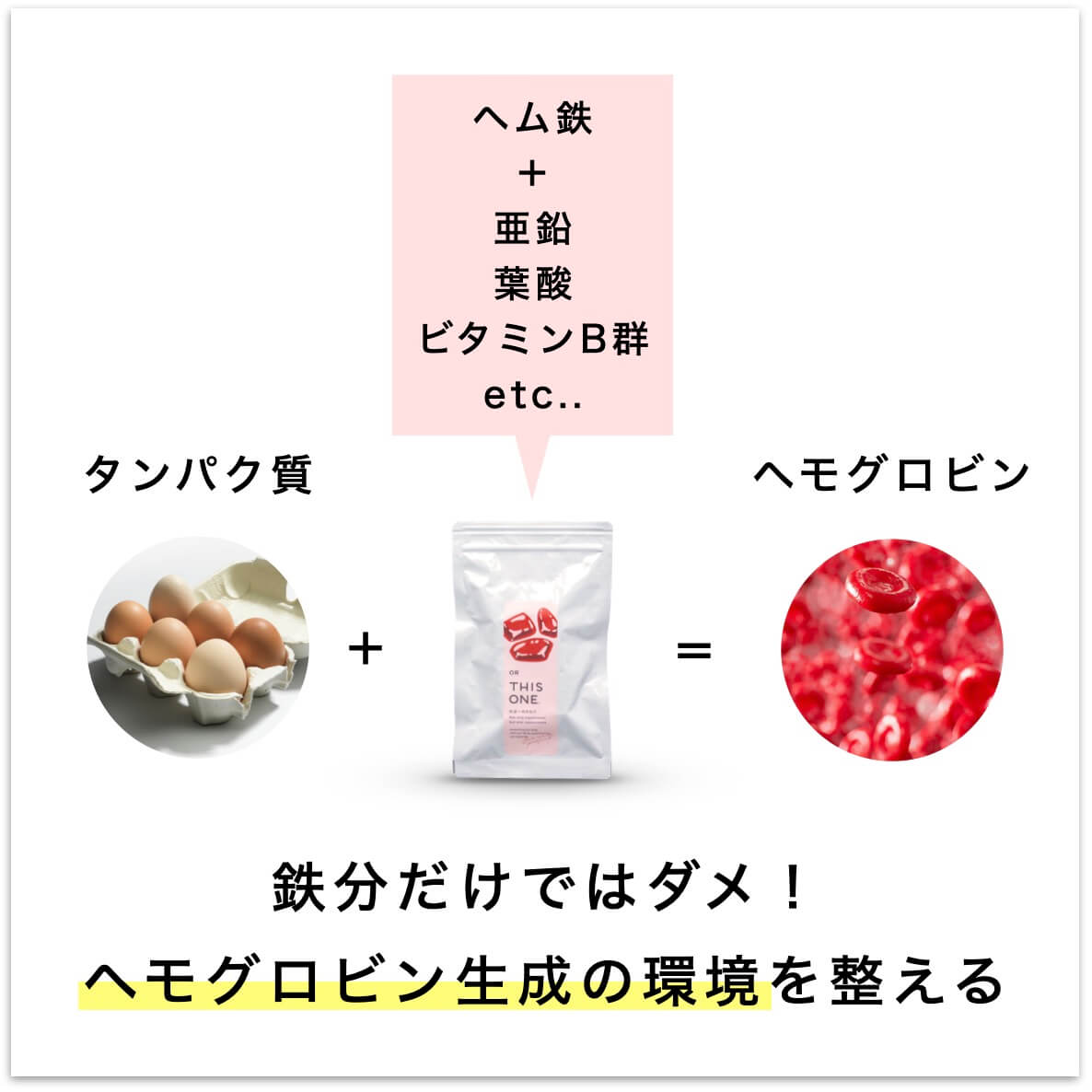 鉄分だけではだめ！ヘモグロビン生成の環境を整える