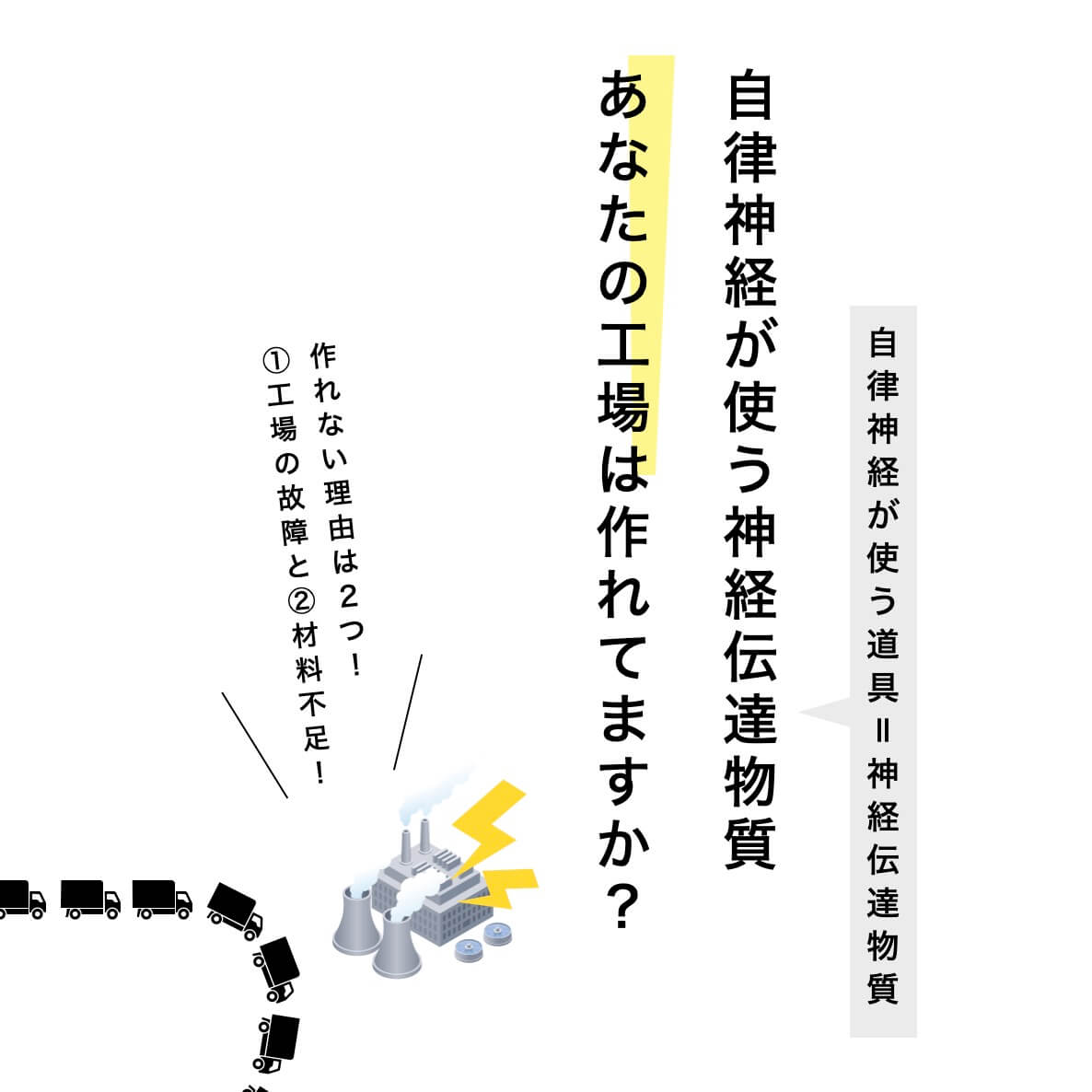 自律神経が使う神経伝達物質作れてますか？ 