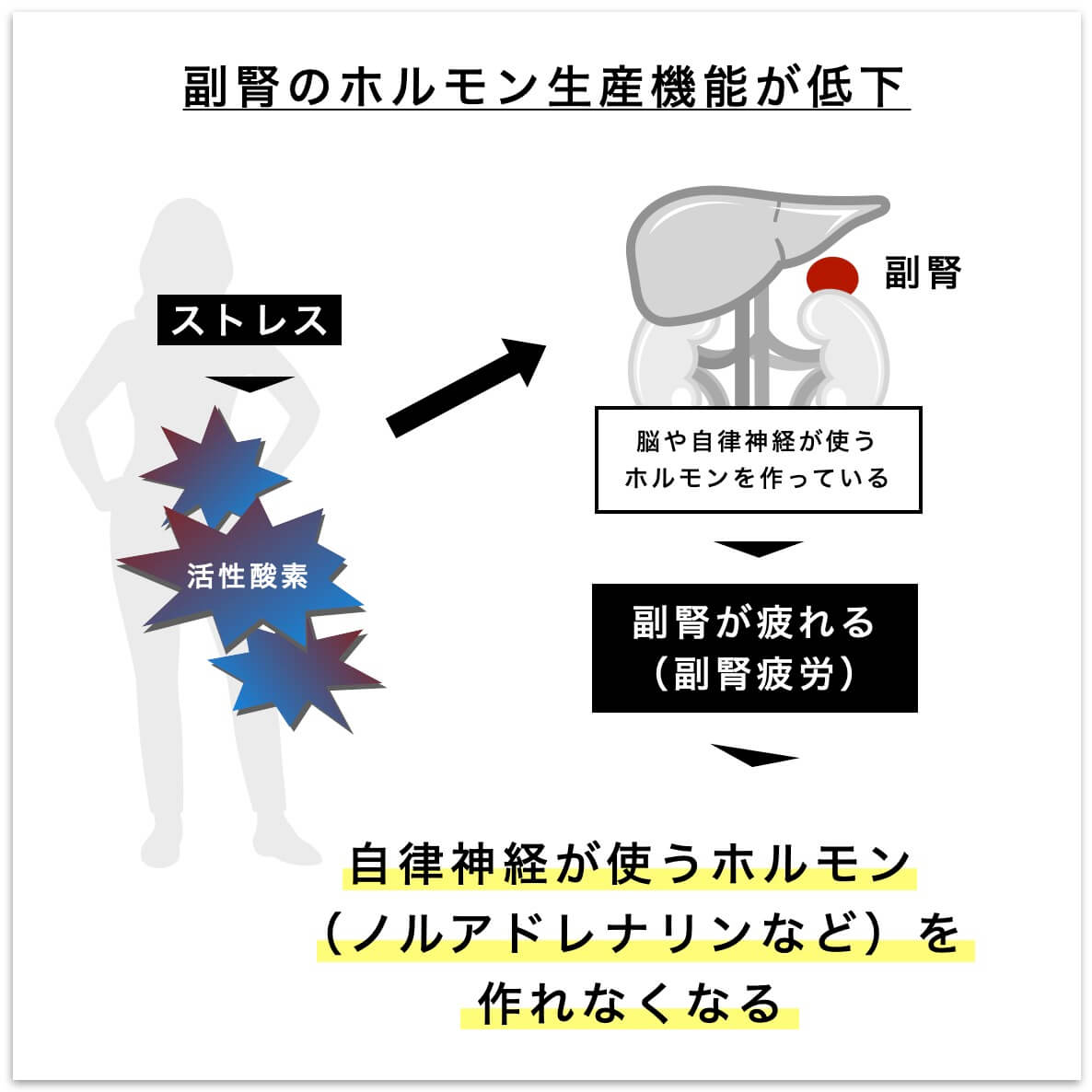 副腎の機能が低下すると自律神経が使うホルモンが作れなくなる