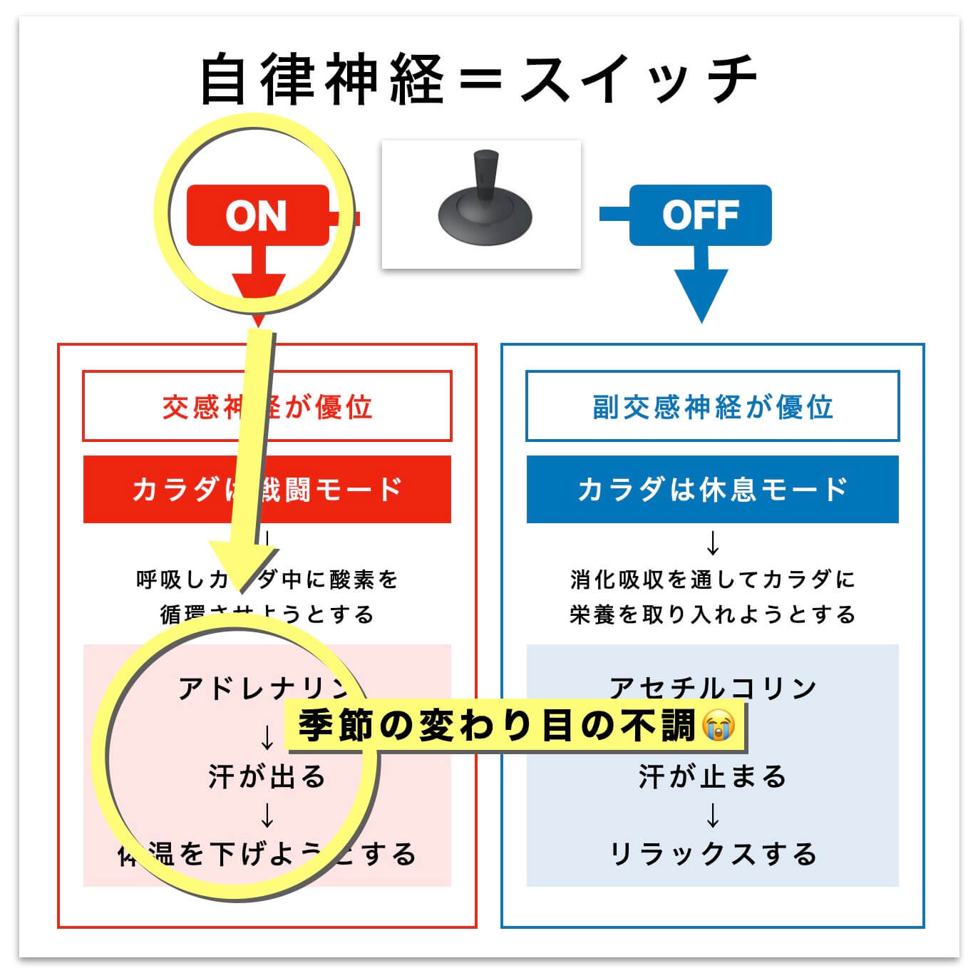 自律神経＝スイッチ