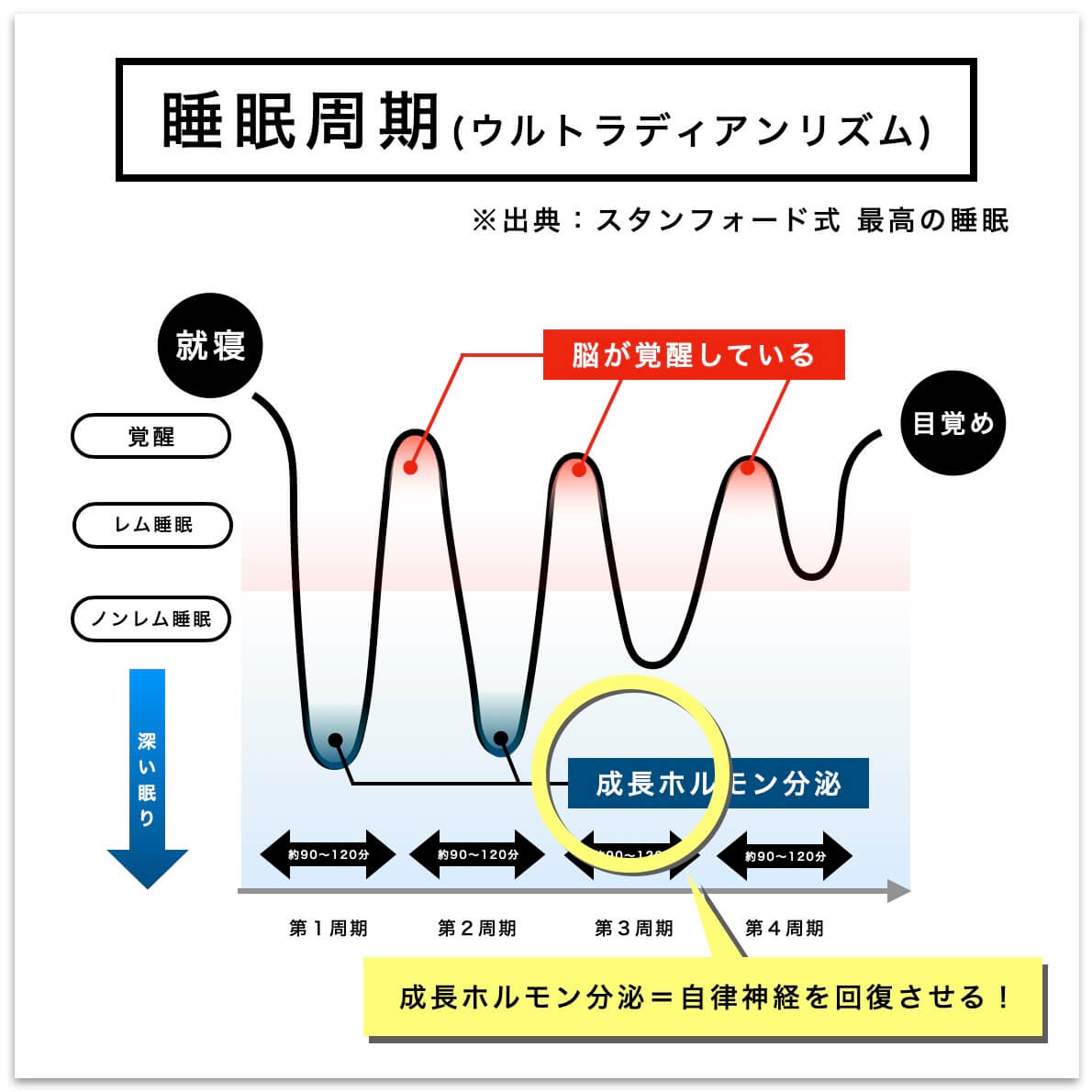 成長ホルモン分泌＝自律神経を回復