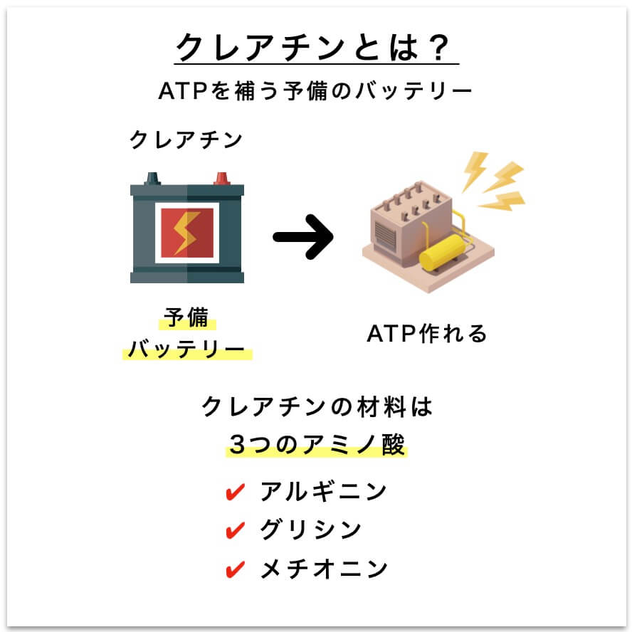 クレアチンとは、ATPを補う呼びバッテリーのような存在