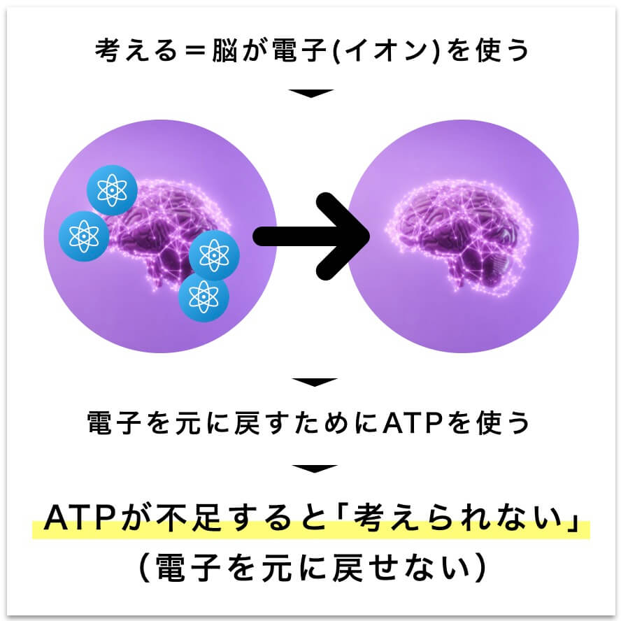 ATPが不足すると｢考えられない｣ことを表した図
