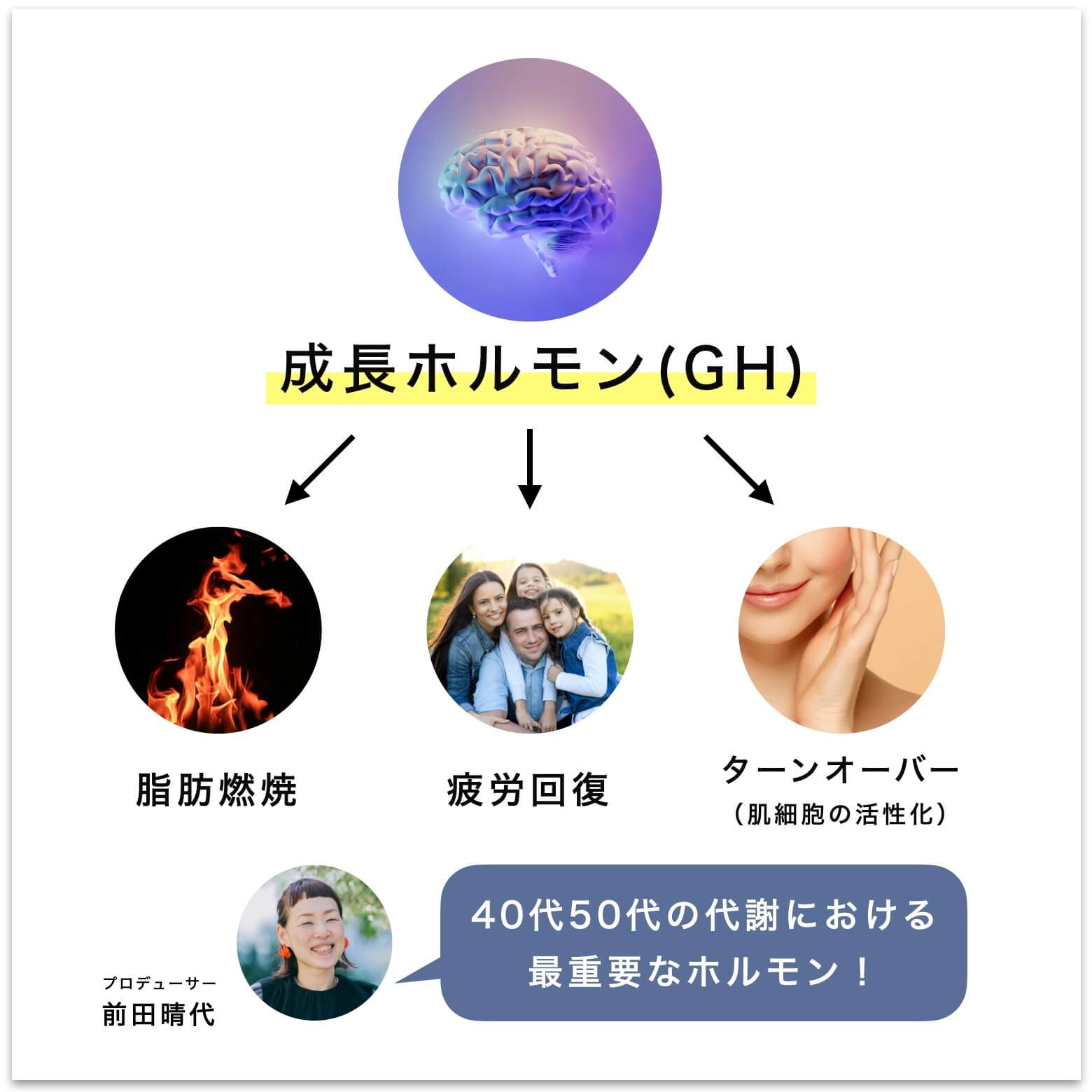 成長ホルモン（GH)の説明