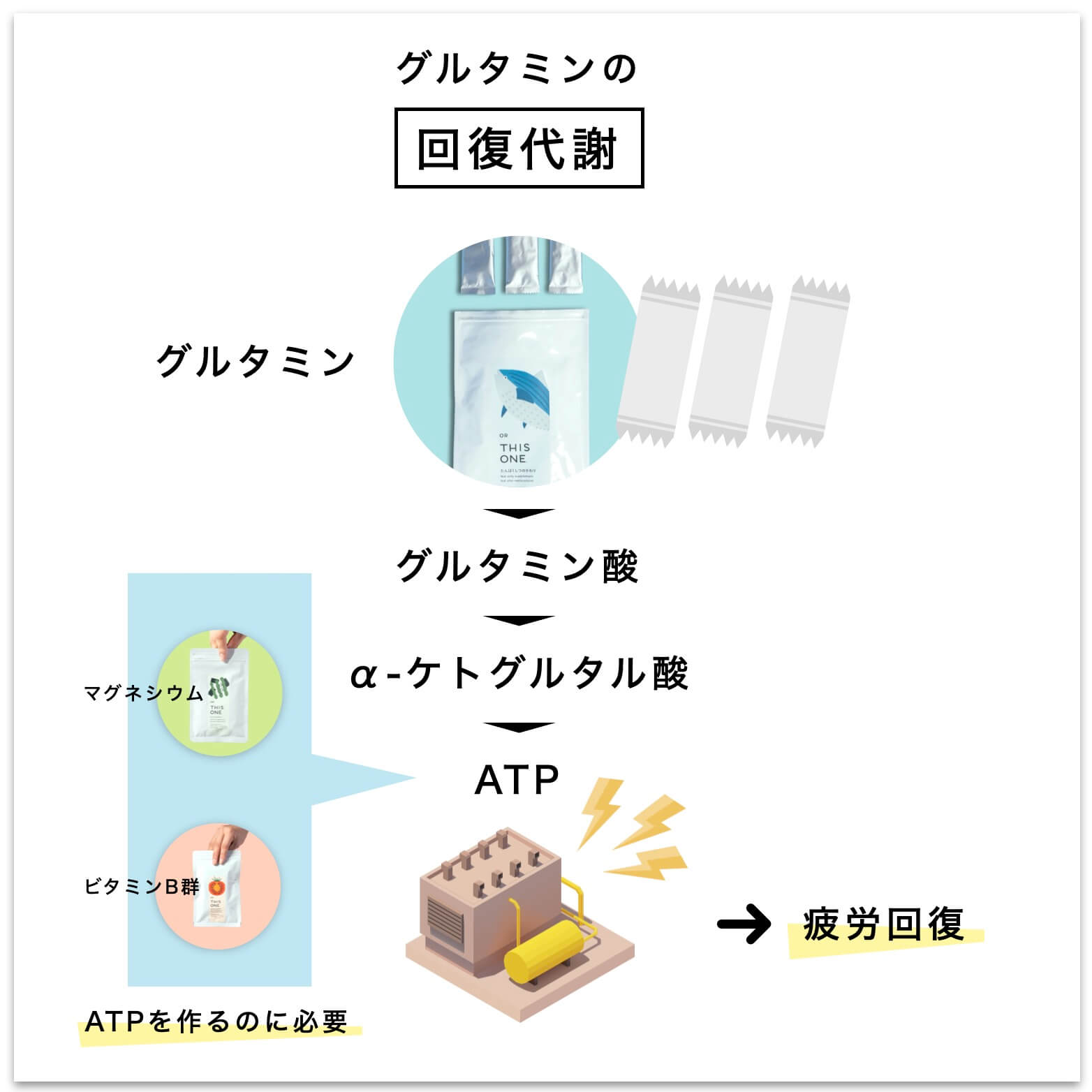 グルタミンの回復代謝の説明図