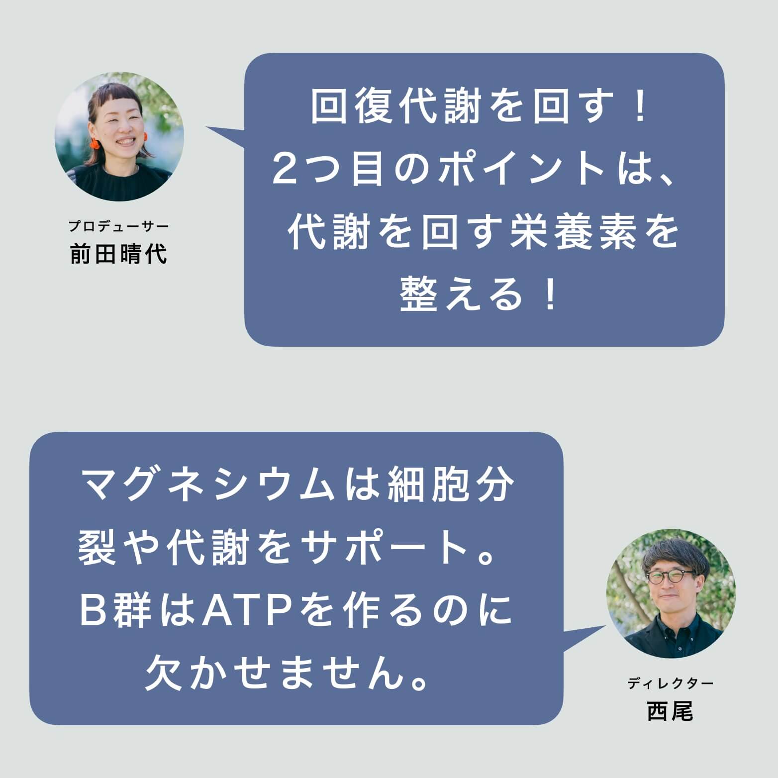 代謝を回す栄養素の説明