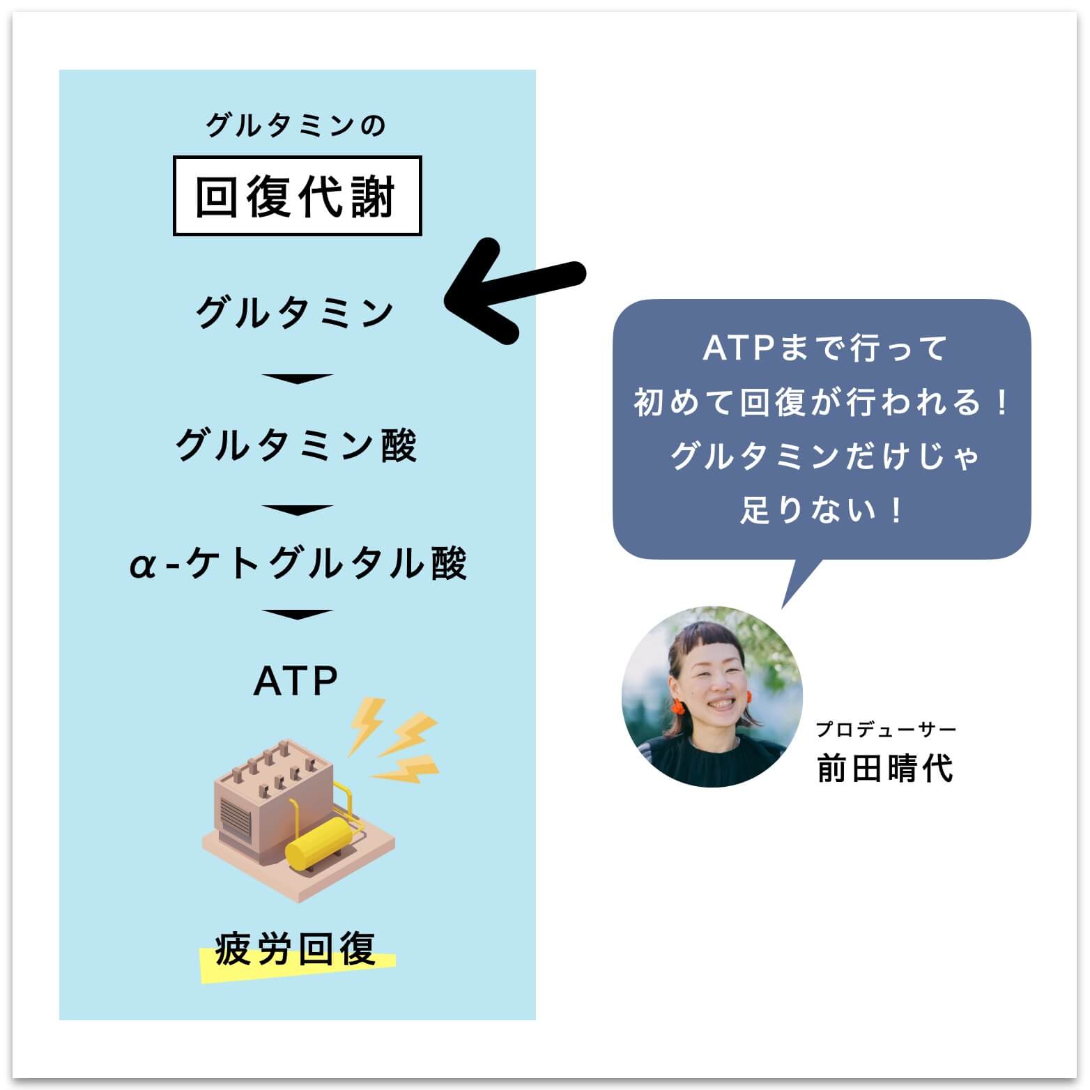 ATP回路の説明