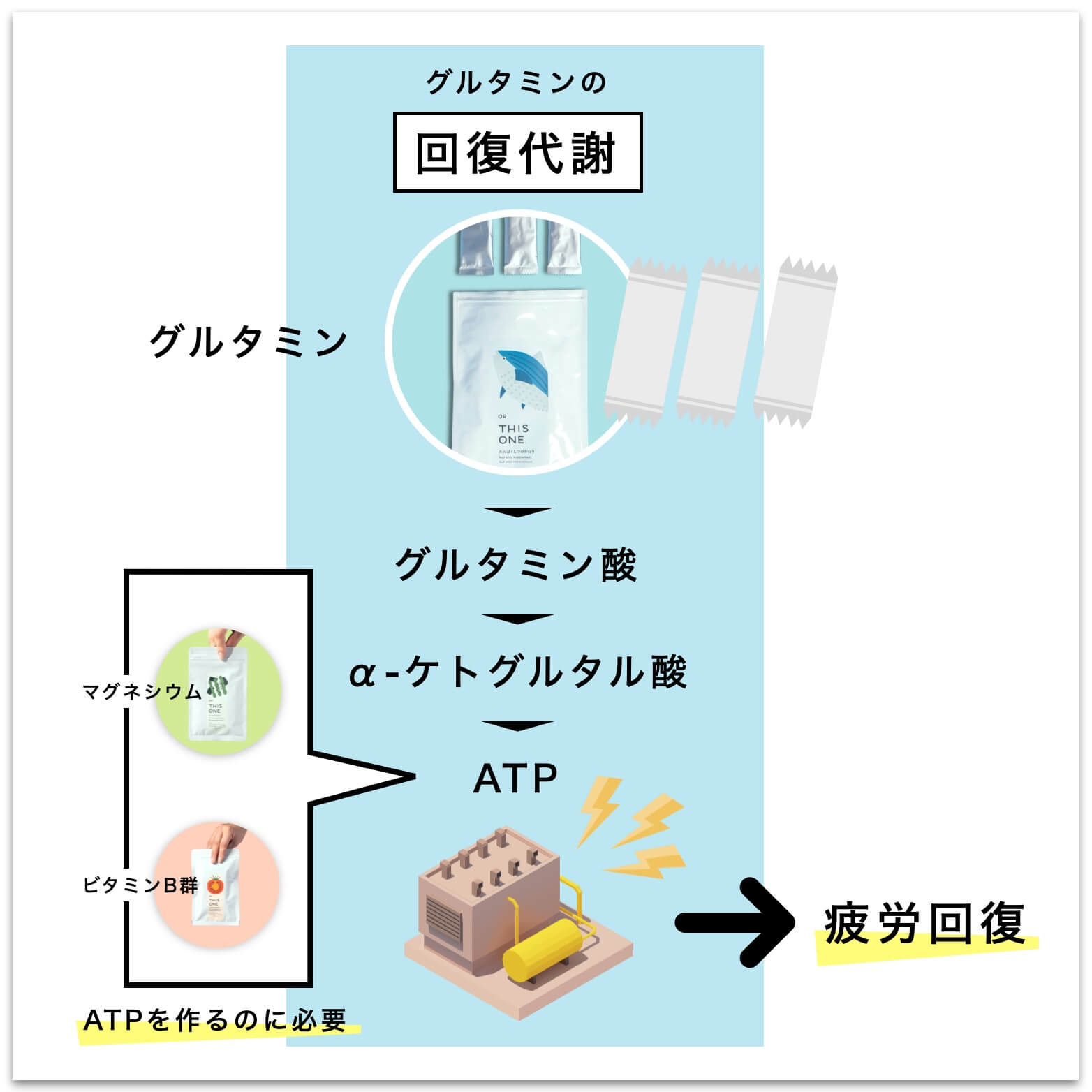 回復代謝の図