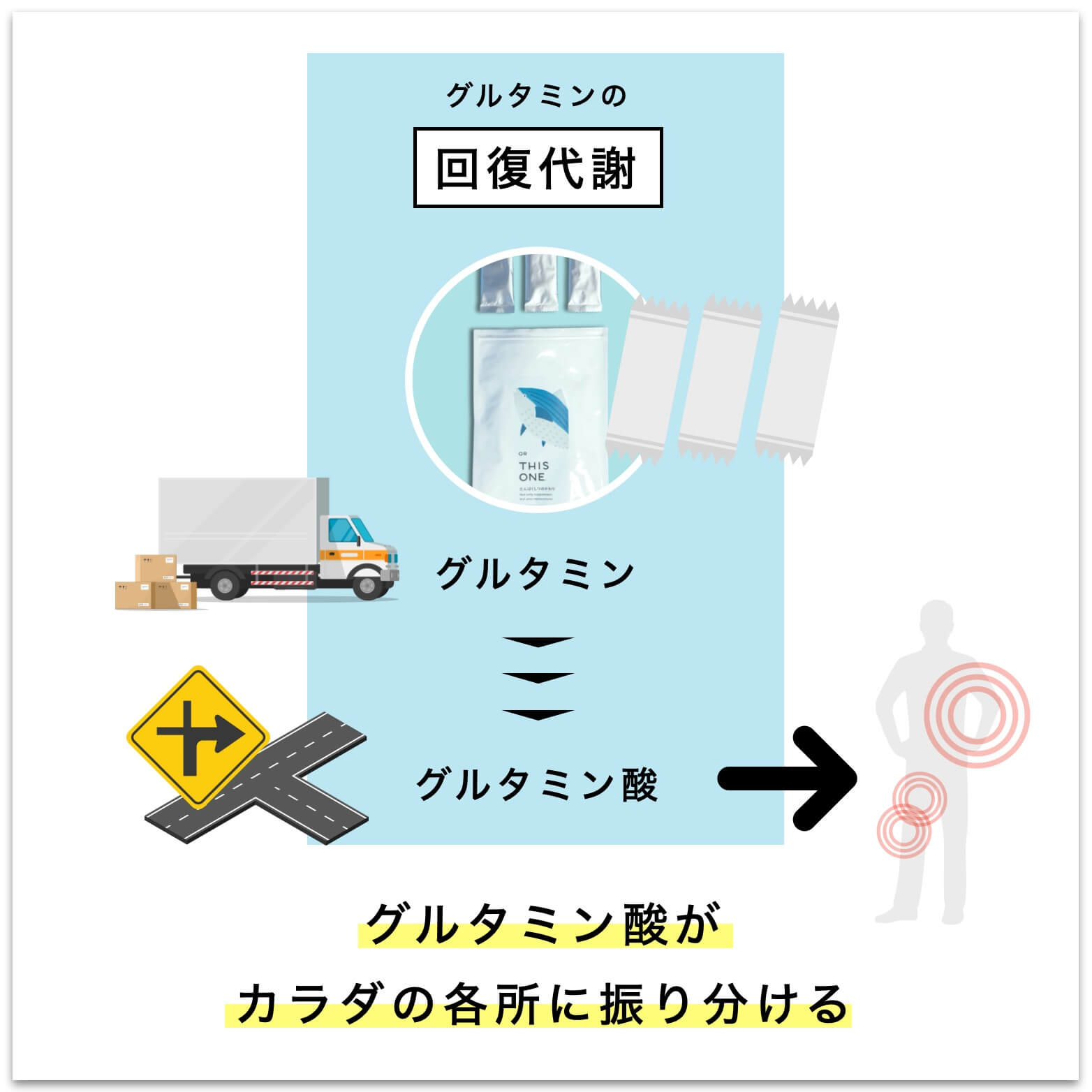 グルタミン酸について