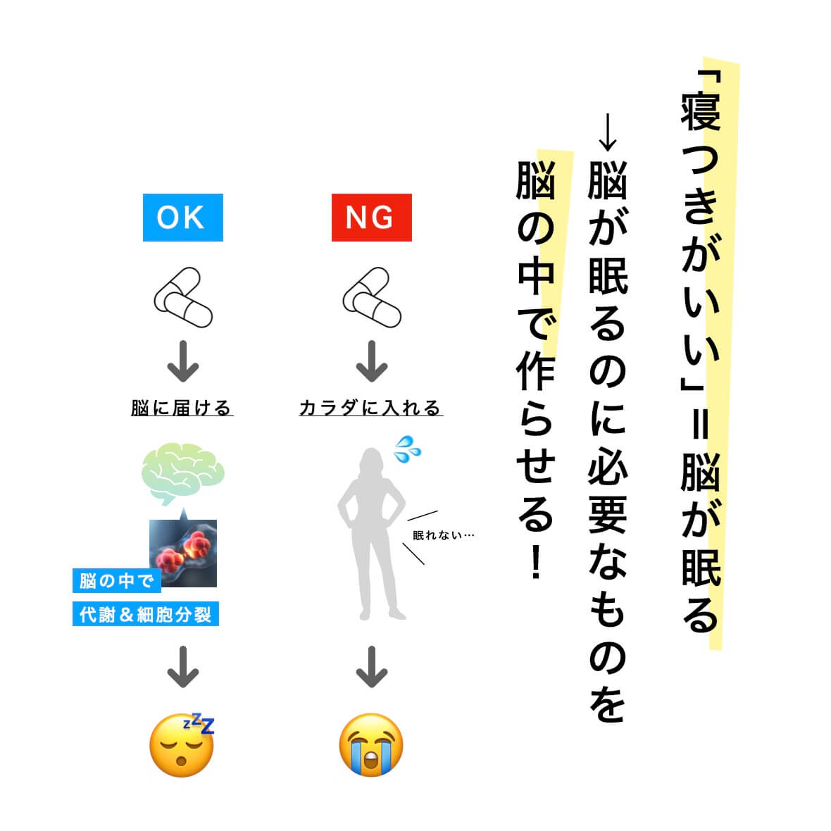 脳が眠るのに必要なものを脳の中で作らせる
