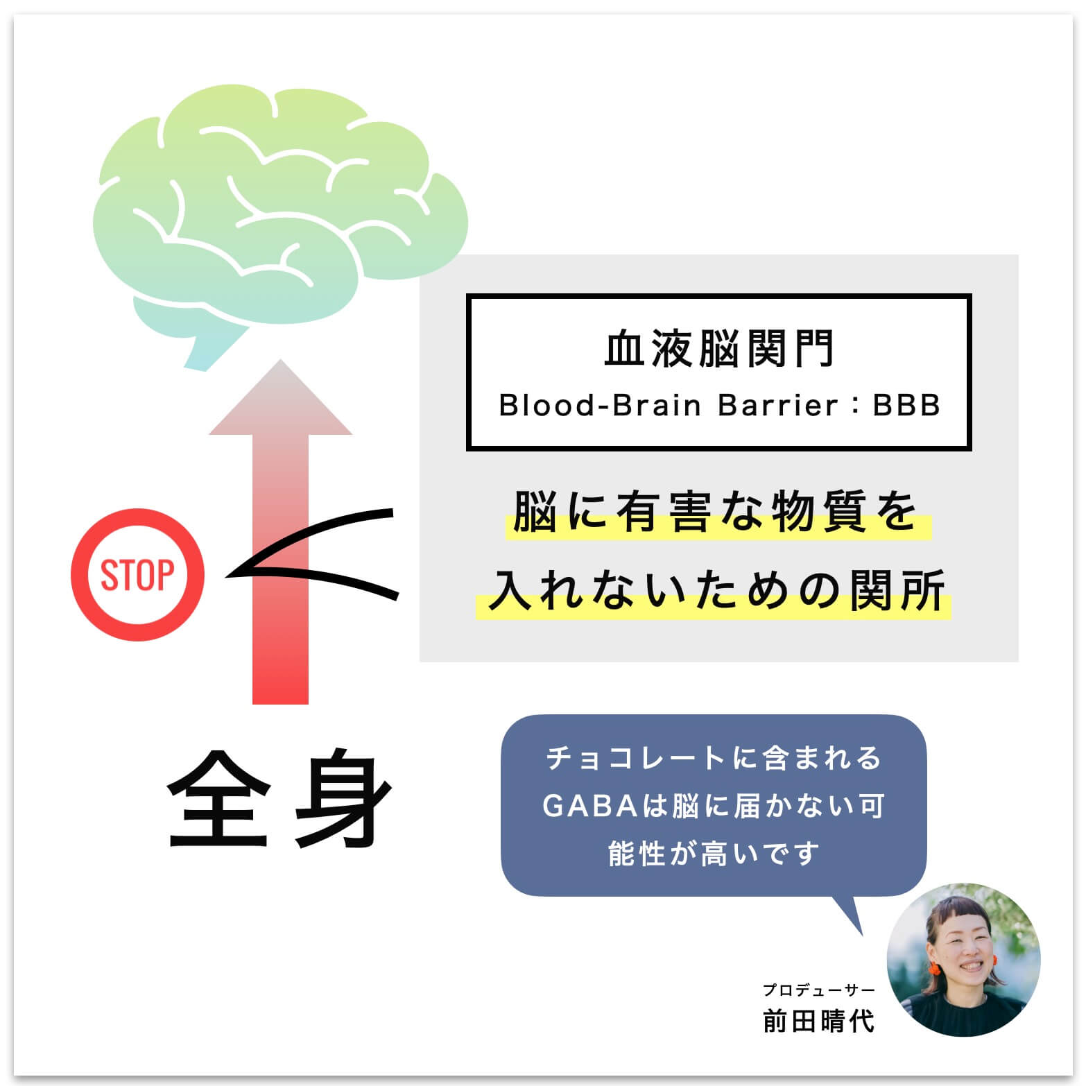 血液脳関門の説明図