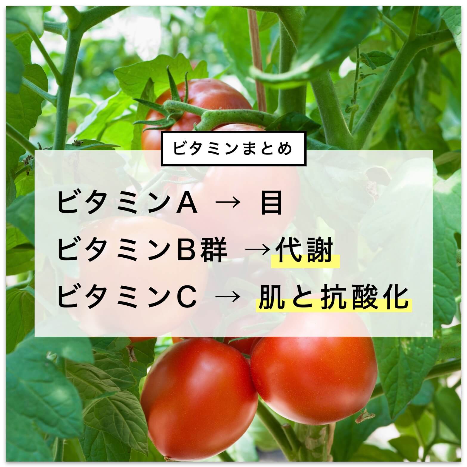 ビタミンのまとめとトマトの写真