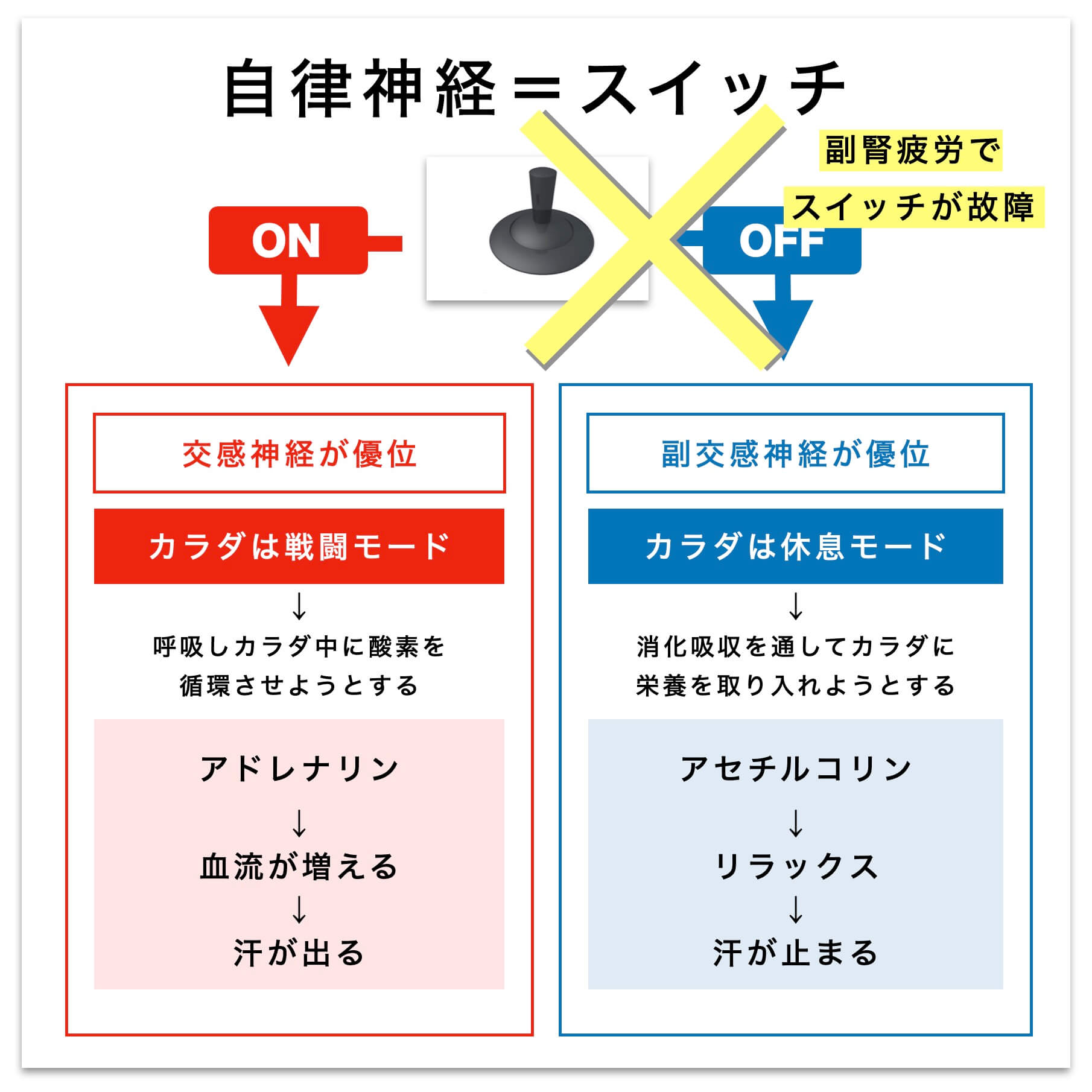 自律神経=スイッチの説明図