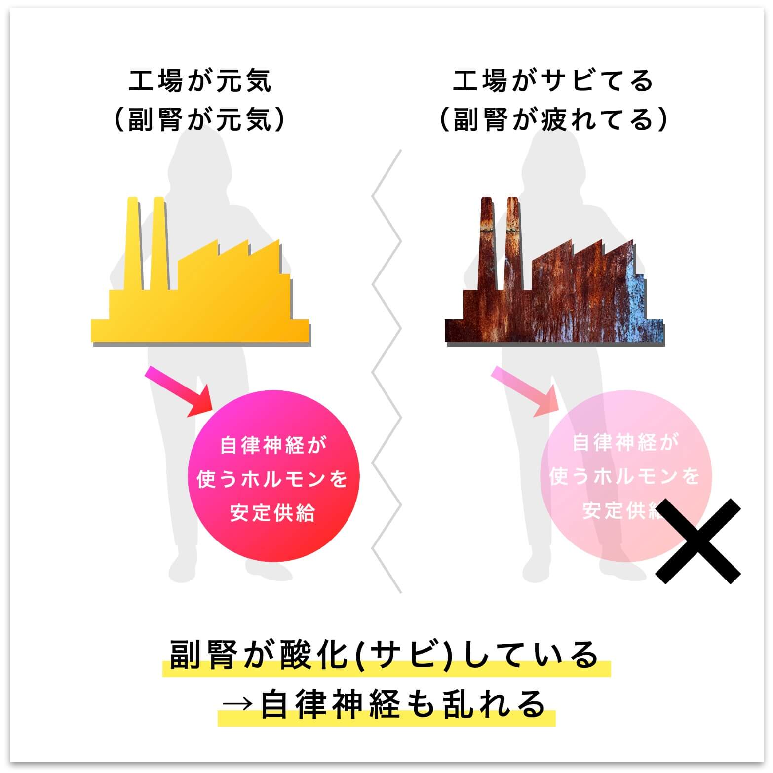 副腎がサビると自律神経が乱れる説明図