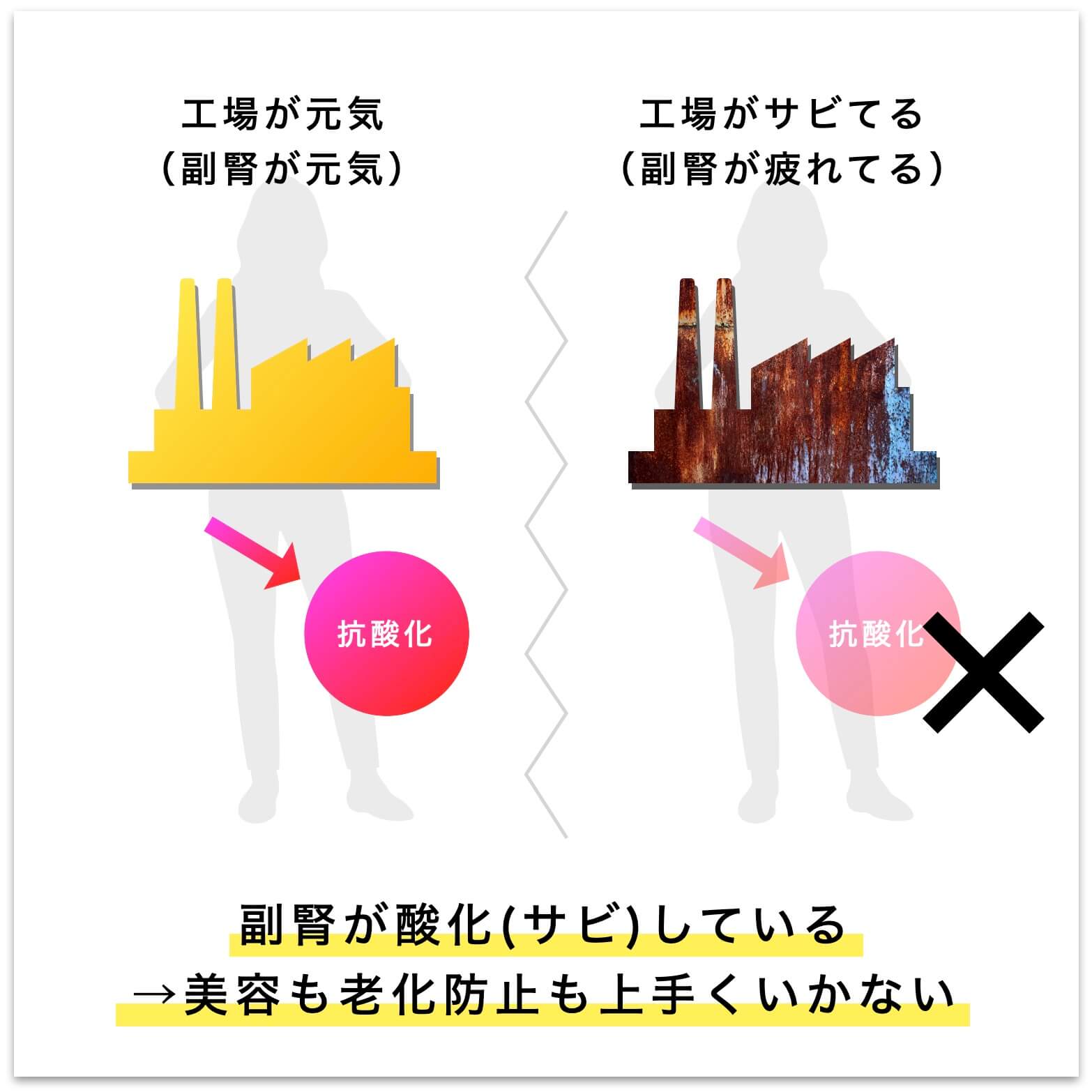 副腎が酸化(サビ)している説明図