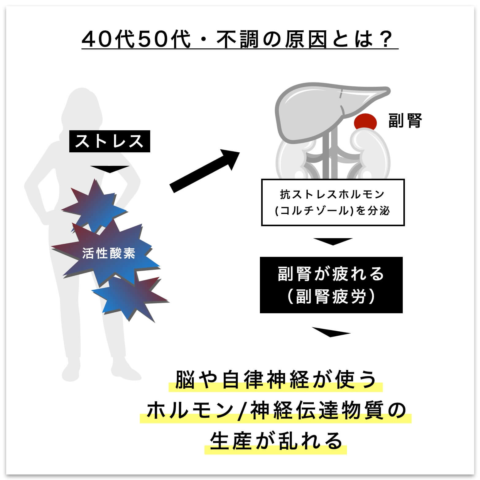 40代50代不調の原因とは?の説明図"