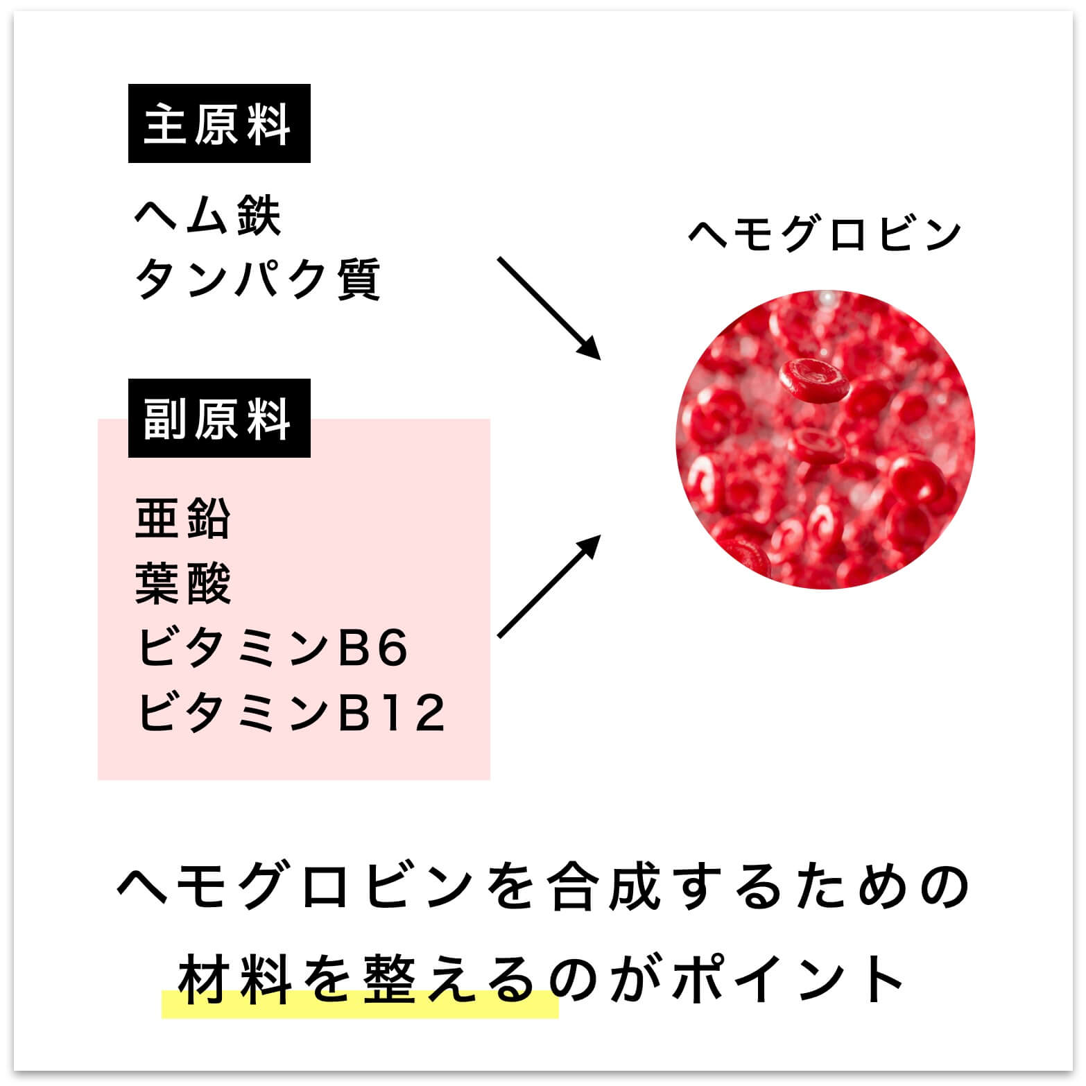 ヘモグロビンを合成の説明図