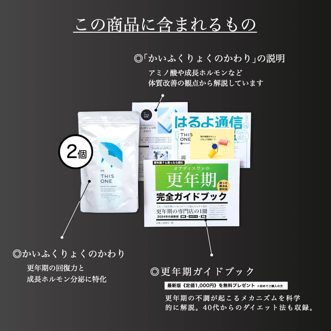 かいふくりょくのかわり2個セットを購入すると届くものリスト