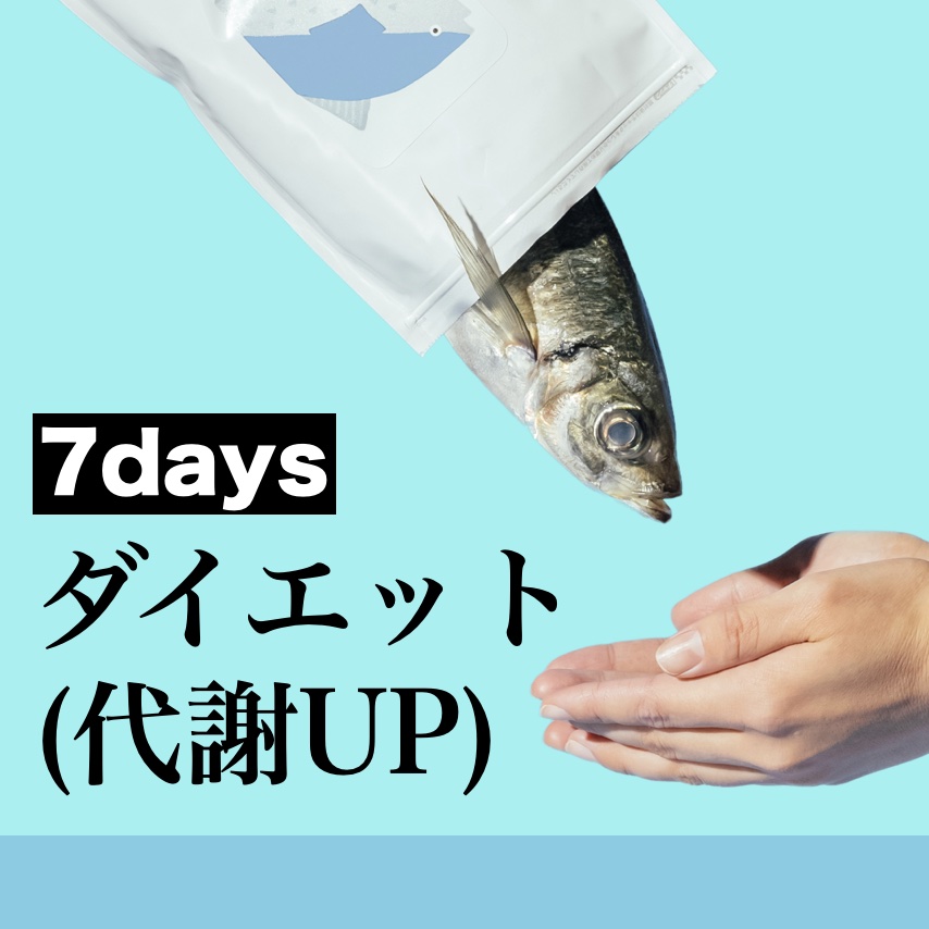 更年期向け代謝サポートダイエットプログラム