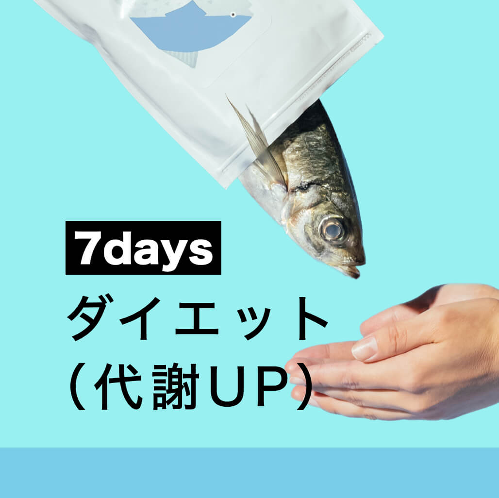 更年期太りにおすすめのプログラム