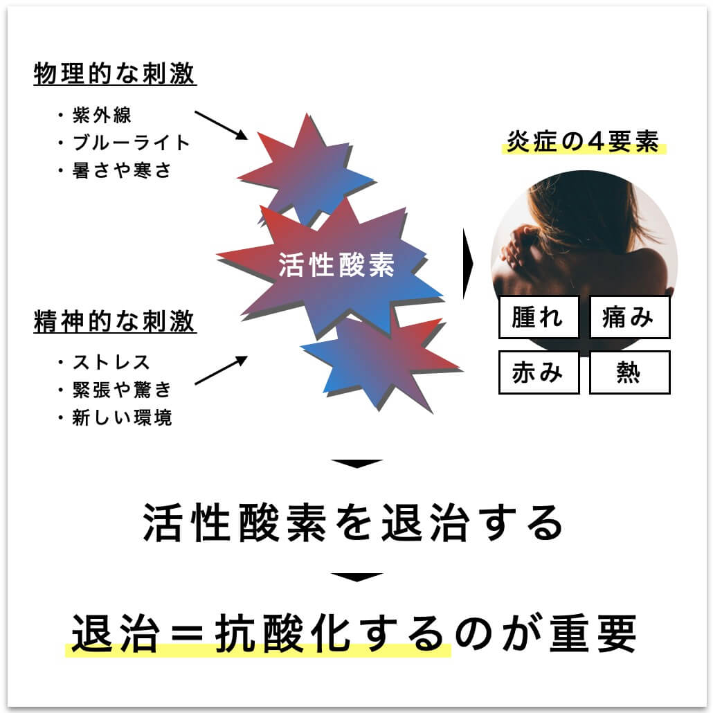 活性酸素の退治＝抗酸化することが重要