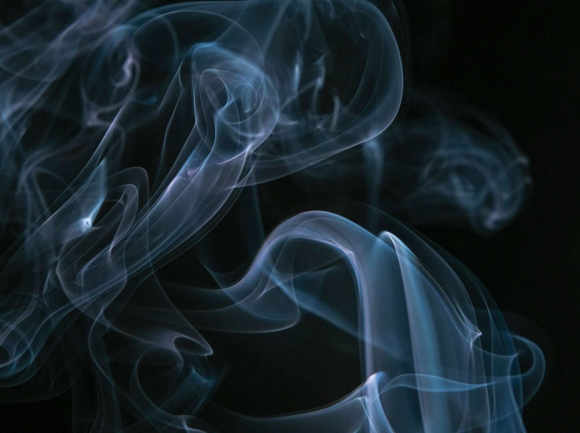 加齢臭の原因の画像